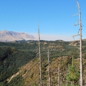 Mount St. Helens 20